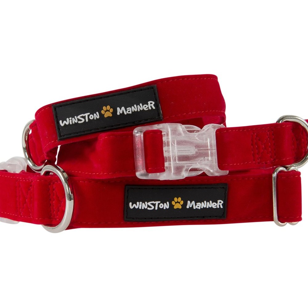 Winston Manner Designer Dog Collar in Racy Red